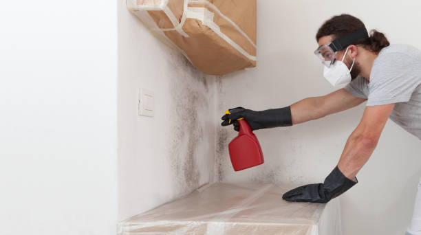 Professional Mold Removal technician working in Baldwin, NY